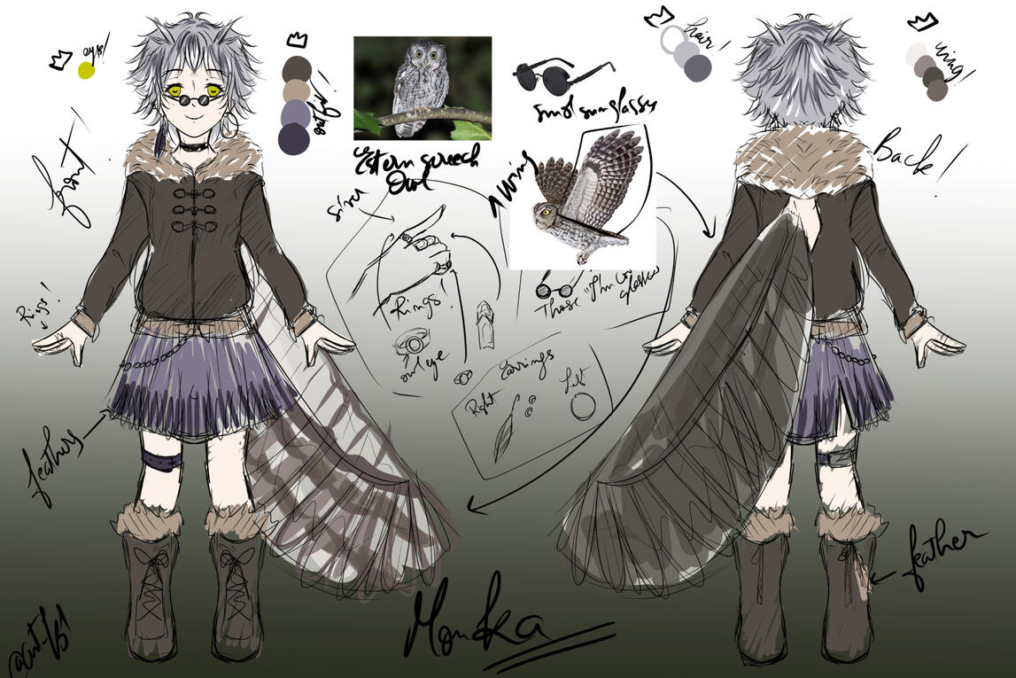 Concept design of oc based on Estern screech owl